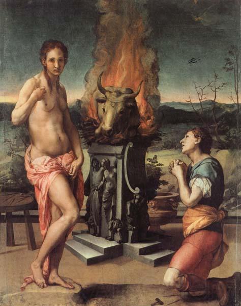 Agnolo Bronzino Pygmalion and Galatea France oil painting art